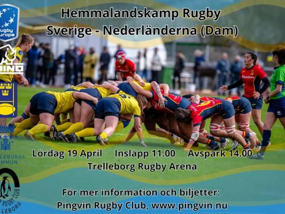 Damlandskamp Rugby
