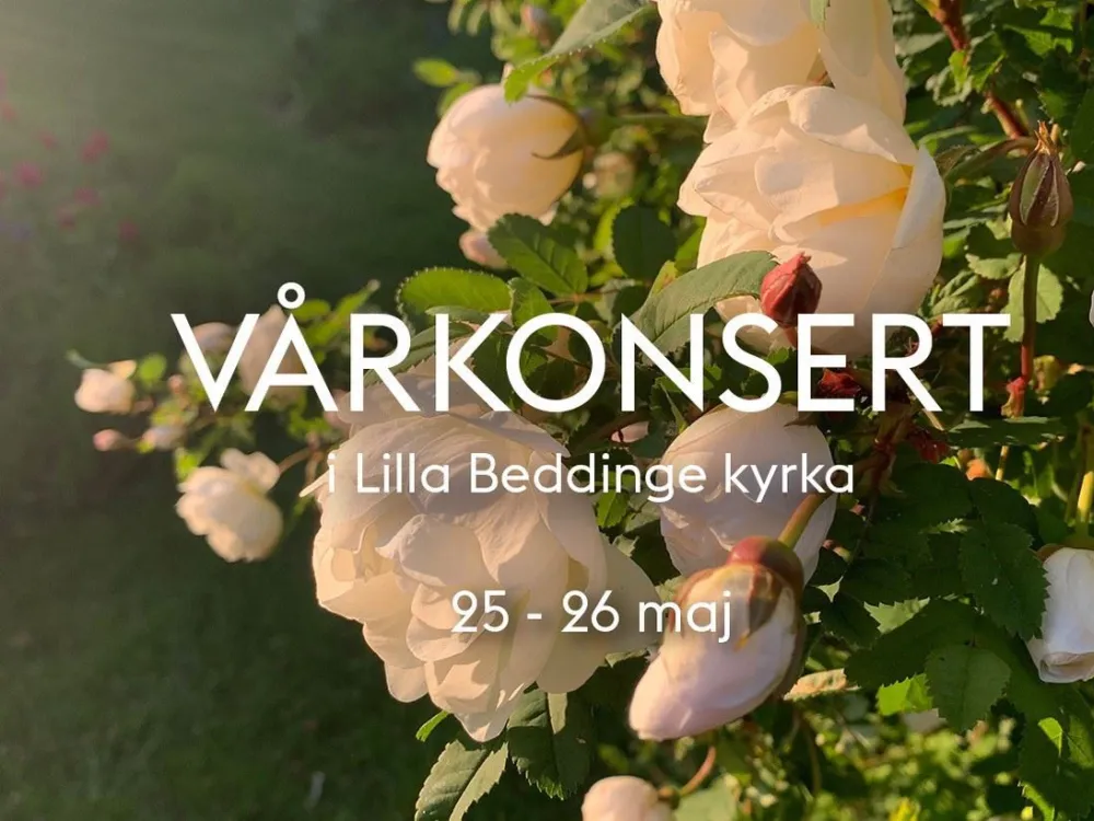 Sommarkonsert med Lilla Beddinge teater