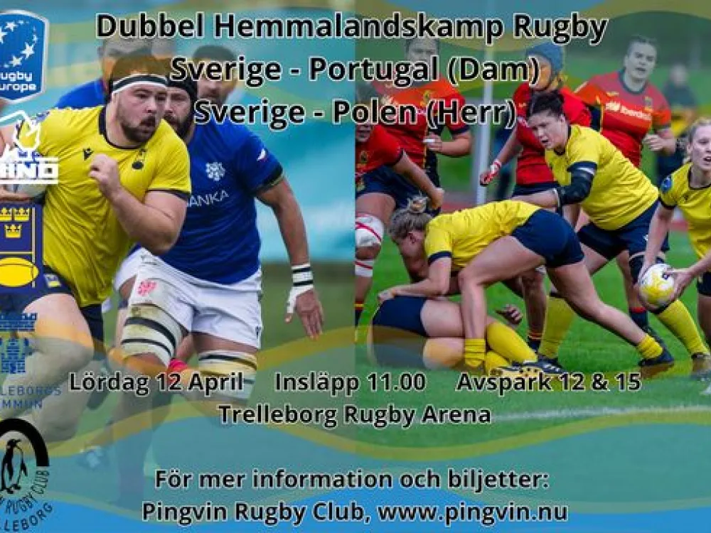 Dubbellandskamp i rugby 