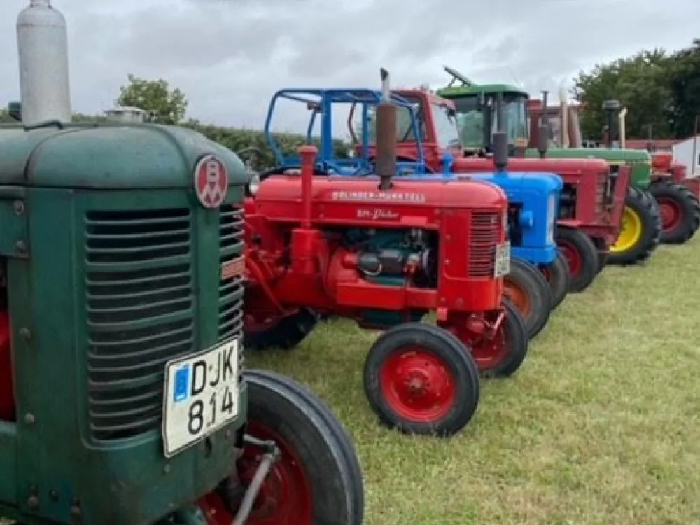 Flea Market and Vintage Tractors