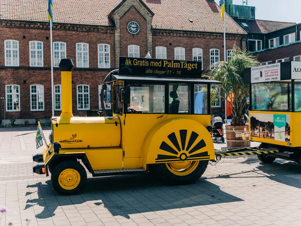 Palmtåget