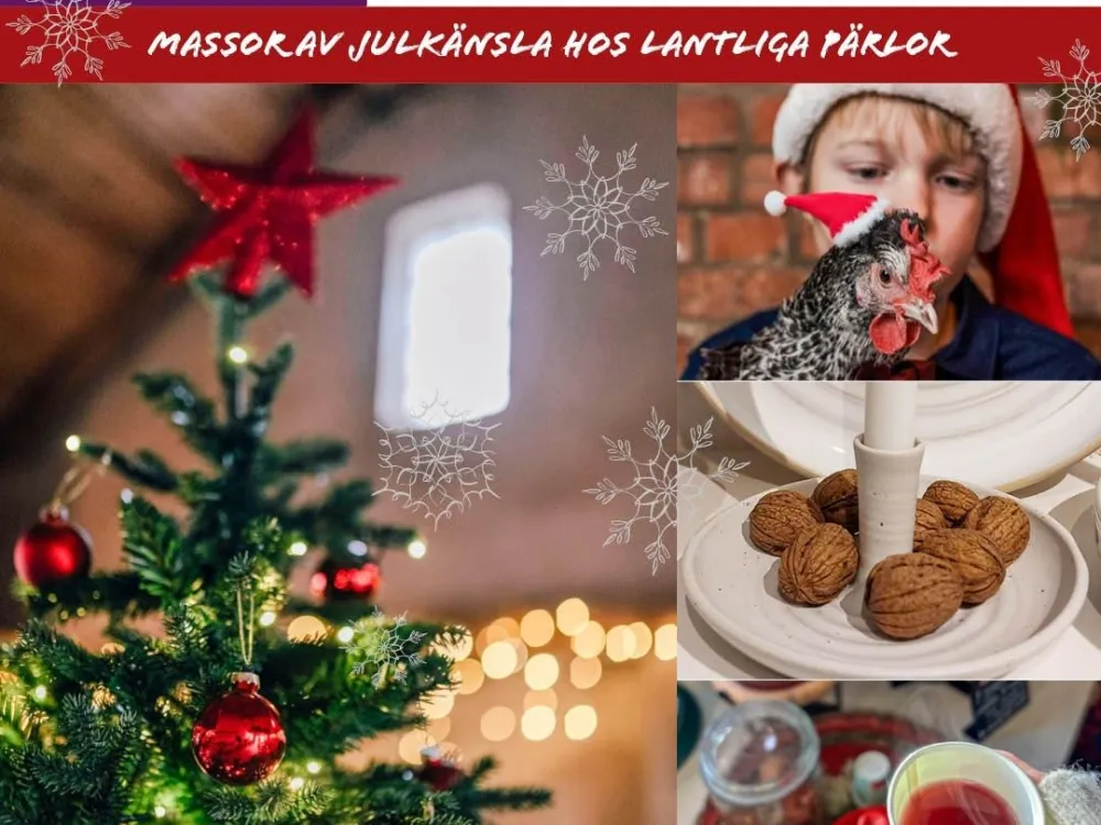 Julrundan med Goda livet på landet