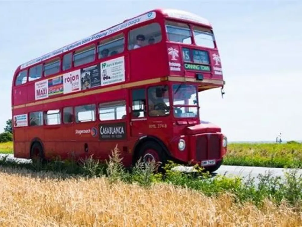 Ride with the Palm Tree Bus
