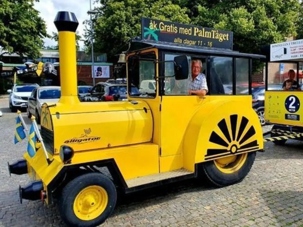 Palmtåget